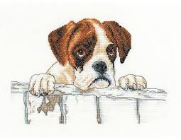 Those Precious Puppy Dog Eyes This Gorgeous Boxer Puppy Cross Stitch Kit By Villager Jim For Heritage Crafts Is Heritage Crafts Cross Stitch Cross Stitch Kit