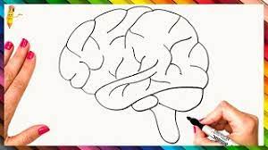 In these page, we also have variety of images available. How To Draw The Human Brain Step By Step Brain Drawing Easy Youtube