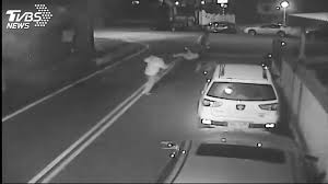 地震前兆 地震予測 予言 地震予知 youtube ifttt 予知夢 地震 note ヒプノセラピストマリアと百瀬直也の予言三昧マガジン 南海トラフ 地震予言 【週刊】大地震・災害. å¤§åœ°éœ‡å‰å…† æ°£è±¡å±€ è¿'åŠå¹´åœ°éœ‡åå°' Tvbsæ–°èžç¶²