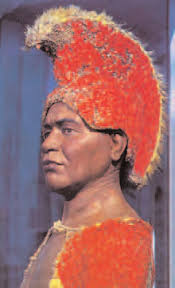 SCIENTIFIC DEPARTMENTS OF MAE RAS