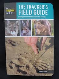 Which animals have eyes that change color depending on the season? Mountain Lion Tracks Take The Quiz Natureoutside