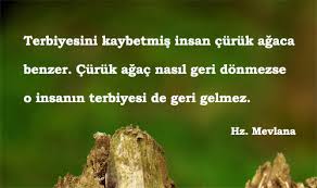 Politik görüşleri, günlük alışkanlıkları, yazma ritüelleri, şakacılığı ve edebiyat tutkusu. Terbiye Ile Ilgili Sozler Guzel Sozler Guzel Mesajlar