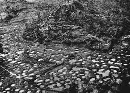 Manage your video collection and share your thoughts. ãŠã˜ã„ ãŠã°ã‚ãŒè¦‹ãŸæ²–ç¸„æˆ¦ ç„¡æŠµæŠ—ã®æ°'ã®çš†æ®ºã—ã ã£ãŸ å é ˜ç›®çš„ã®æ˜Žç¢ºãªæ„å›³ é•·å'¨æ–°èž