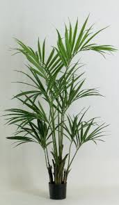 Portavasi da interno eleganti amazon. Kentia Palm Elegance Artificiale H 150 Cm Newgreen Http Www Amazon It Dp B00ia33yj8 Ref Cm Sw R Pi Piante Da Interno Albero Artificiale Fiori Artificiali