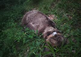 Angela alvarez ass compilation i watched her for a while