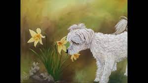 How to create a blurred background image? How To Paint Blurry Background In Acrylics By Helian Osher Youtube