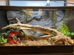 Image result for Terrarium Cling Background