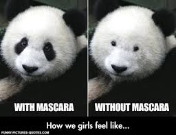 See more ideas about panda, panda bear, funny panda. Cute Panda Quotes Quotesgram
