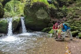 It also gives you information on what each trail has to offer. Wandelsuggestie Mullerthal Consdorf Mullerthal Wandelen Wandelpaden Plaatsen Om Te Bezoeken