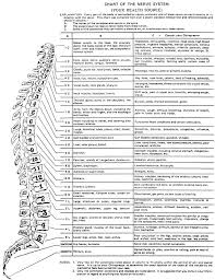 Nerve Chart Connect Chiropractic
