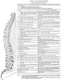 nerve chart connect chiropractic