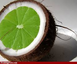 Lime Coconut Pictures Freaking News Coconut Lime Lime Coconut