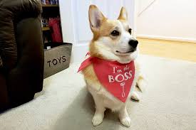 The amounts owing by the trust to beneficiaries are certainly liabilities of the trust. 7 Duties Of A Company Director Companies House