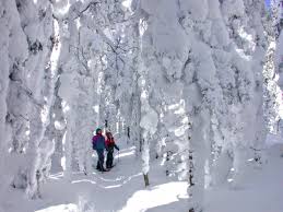 Risultati immagini per parc des monts valins carte