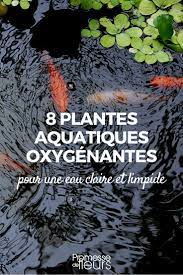 Voir cette épingle et d'autres images dans entretien fleurs par catherine casteres. 8 Plantes Aquatiques Oxygenantes Pour Bassin Ou Mare