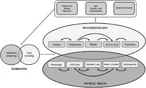 The role of rumination in illness trajectories in youth: linking  trans-diagnostic processes with clinical staging models