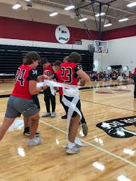 Image result for Aurora White 2010 HS