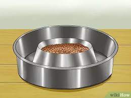 I designed and use this for coconut oil in my a 3d model of a pet bowl with dog food inside and some scattered around it. 3 Ways To Keep Ants Out Of Pet Food Wikihow