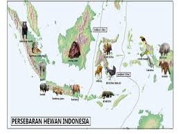 Misalnya saja peta persebaran flora di indonesia, peta kekayaan tambang, peta penyebaran penduduk, peta topografi, dan lain sebagainya. Peta Persebaran Flora Dan Fauna Di Indonesia Dan Dunia Paimin Gambar