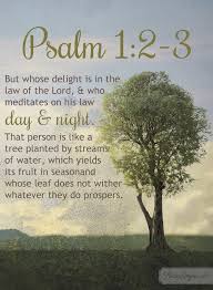 2 To The 1 To The 1 To The 3 I Like Good Trees Meditate On God S Word With Psalm 1 2 3 And A Prayer Psalms Psalm 1 Tree Quotes
