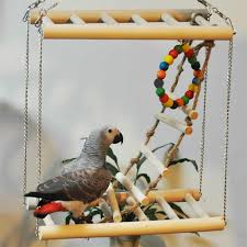 El Yapimi Ahsap Kucuk Papagan Standi Sican Oyuncak Kopru Merdiveni Hamster Kus Merdiven Kafes Aksesuarlari Bateria Drone Papagan Amerika Papagani Oyuncaklar Cage Accessories Bird Cage Accessoriesbird Cage Aliexpress