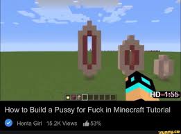 How to Build a Pussy for Fuck in Minecraft Tutorial Henta Girl 15.2K Views  53% - iFunny Brazil