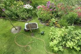 Auch im garten machen sie eine gute figur. Rasen Saen So Klappt S Mit Einem Dichten Rasen Schoner Wohnen