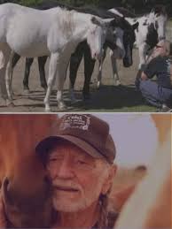 Willie Nelson Rescues Horses from Slaughter