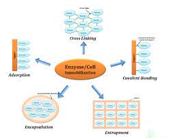 If students haven't gone to the website i tell them to follow the instructions at the top of the 1st page. An Ionic Bond Is A Bond Between Quizlet