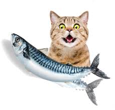 Vibrating Interactive Fish Toy Pretty Little Deal Store In 2020 Interactive Cat Toys Cat Safe Cat Toys