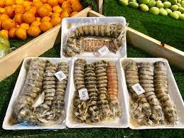 Tugce kamun adlı kullanıcının en iyi panoları. Kamun Udang Lipan Mantis Shrimp Uncle Rich Fresh Mart Facebook