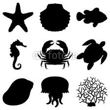 Beach Silhouette Pictures Black And White Shell Silhouette Google Search Turtle Silhouette Animal Silhouette Animals Black And White