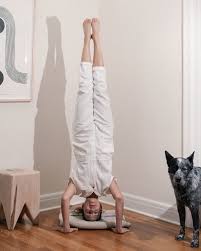 (don't be scared!) this 16 m. The Reigning Queen Of Pandemic Yoga The New York Times