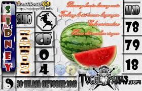 Togel Panas Erek Erek Erek Erek Prediksi Jitu 4d Singapore Live 4d Hari Ini Keluar Aki Wilson Bagaimana Membedah Syair Bedah Syair Sgp Oktober Singapura