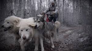 Martin, the policeman who was driving, survives and fortifies his position while the con men search for a way to finish him. Watch Life Below Zero Next Generation Season 1 Episode 2 Unknown And Uncharted Online