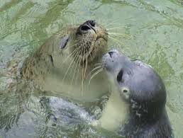 Zoo In Bochum Germany Wuppertal Zoo Bochum