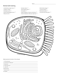 Maybe you would like to learn more about one of these? Animal Cell Coloring