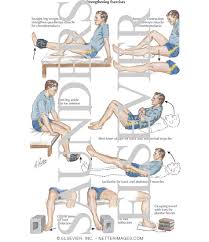 The hip consists of the hip flexor muscles, the hip adductor muscles, and most importantly the glutes and hip abductor. Strengthening Exercises