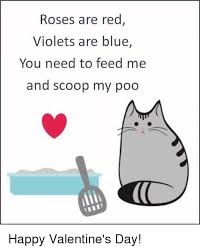 Memes And Feed Me Roses Are Red Violets Are Blue You Need To Feed Me And Scoop My Poo Happy Roses Are Red Violets Are Blue Thank You Poems Red Roses