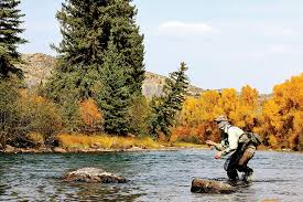 The heaviest fly in my rig is the main fly, the parent fly, or the anchor. 4 Unconventional Competition Fly Fishing Rigs