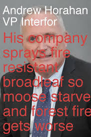 This should be Illegal, company should be fined big time for destroying our  habitat. This happens everyday in our waters and it has to stop. Spraying  chemicals is not the answer, vegetation