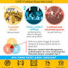 For more information on their services and how to contact them, please visit their webpage at. 1