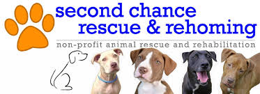 What you can do to help: Second Chance Rescue Rehoming Inc Home Facebook