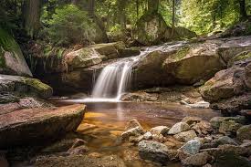 Waterfalls between trees wallpaper, waterfalls and forests, nature. 6 000 Nature Wallpapers Hd 4k Free Download Pixabay