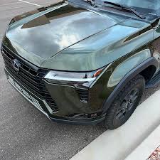 Image result for Nori Green 2025 LZ