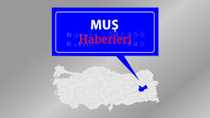 Hayvan Pazarinda Kurban Hareketliligi Mus Haberleri