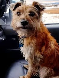 FLOWER & ANIMAL LOVERS