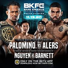 Palomino defeated tyler goodjohn by a shutout unanimous. Bkfc 14 Palomino Vs Alers Live Stream Results Updates Start Time Bad Left Hook