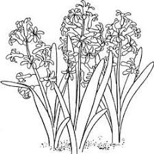 Free digital downloads could be just what you need to get you started in making cards for yourself, your family and your friends. Free Flower Digi Stamps Card Making Digital Stamping Floral Items By Ammie Sanders Coloring Pages Flower Coloring Pages Free Coloring Pages