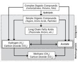 Pin On Biogas